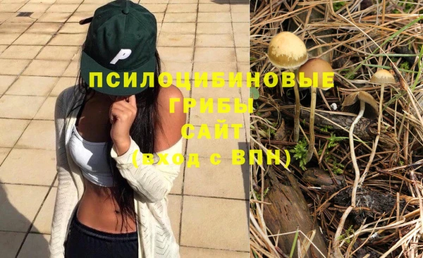 спиды Алзамай