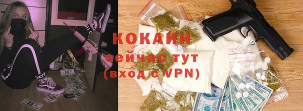 винт Абаза